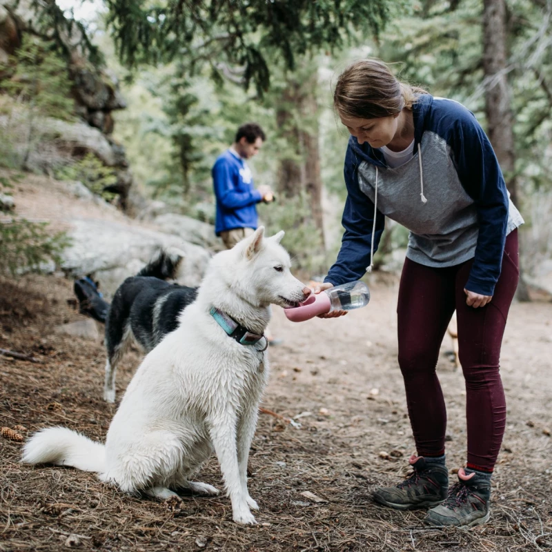 BottleDoggy Portable Drinking Water Bottle